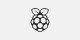 Raspberry logo